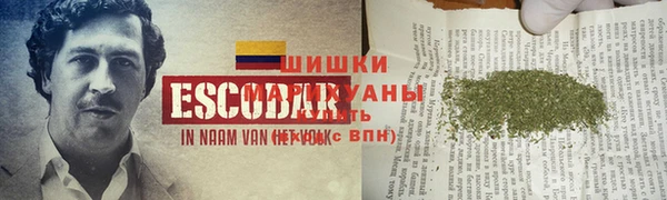 эйфоретик Богданович