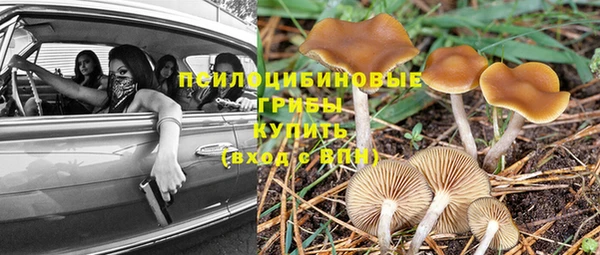метадон Богородицк