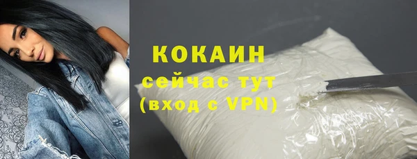 соль ск Белокуриха