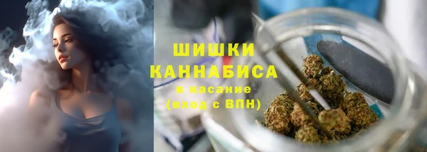 соль ск Белокуриха