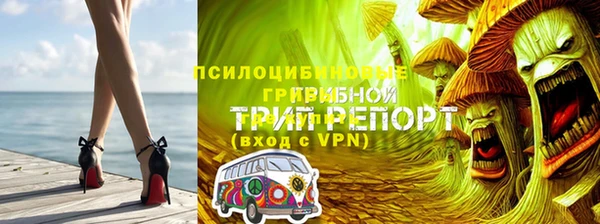 соль ск Белокуриха