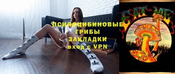соль ск Белокуриха