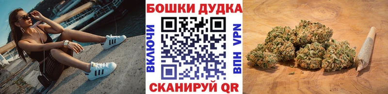 Каннабис ГИДРОПОН Беслан